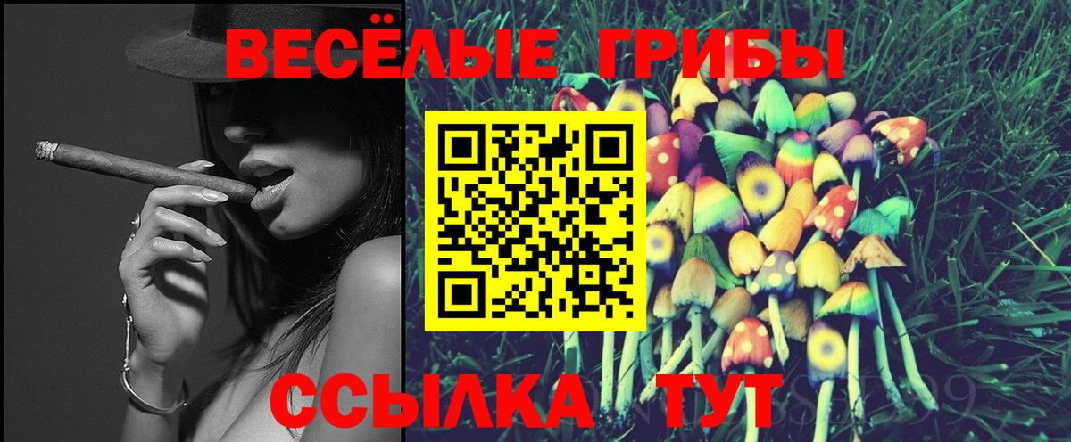 Зеленодольск  Псилоцибиновые грибы прущие грибы  Вход с VPN 